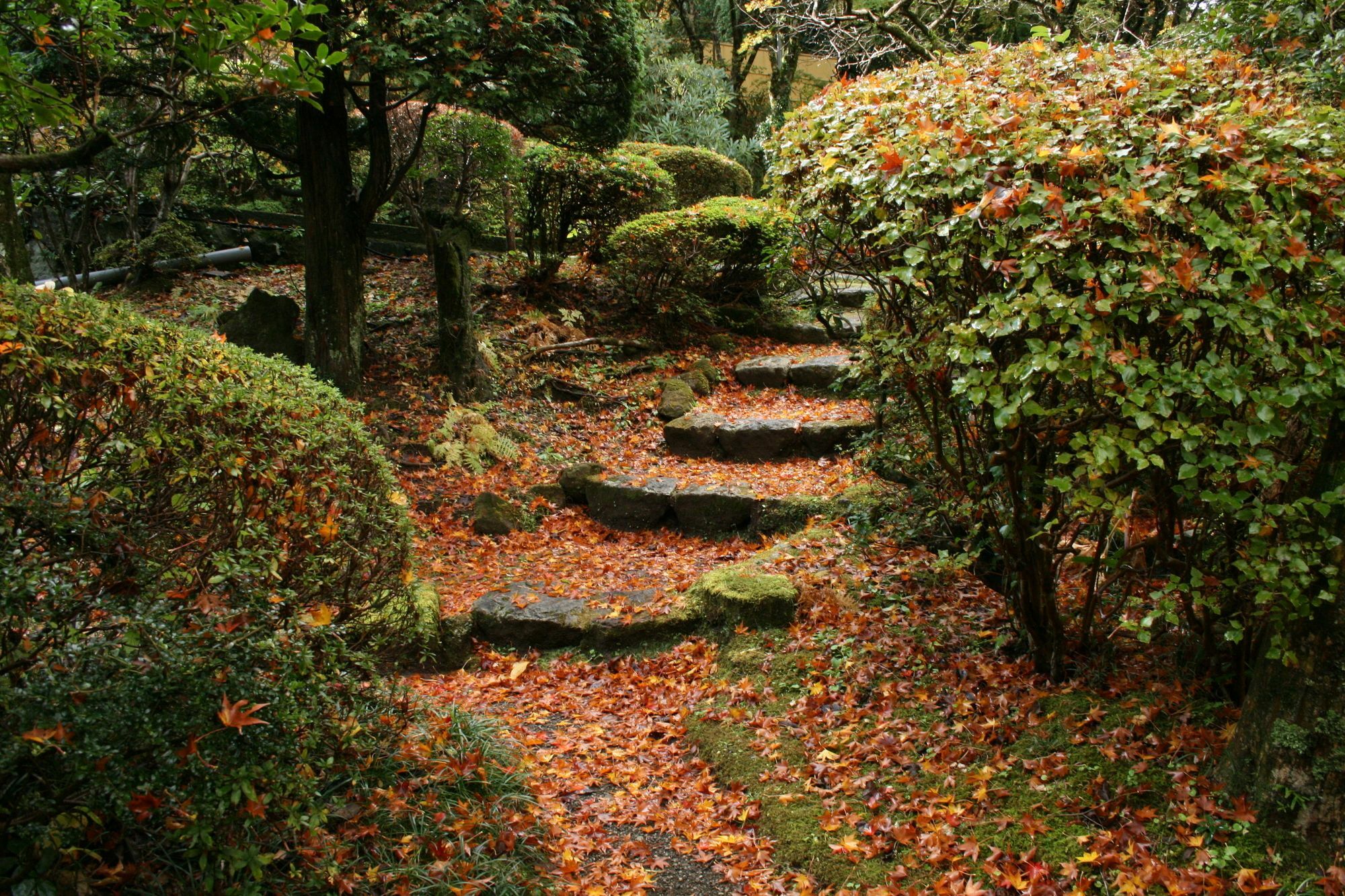 Hotel Senkyoro Hakone Exteriér fotografie