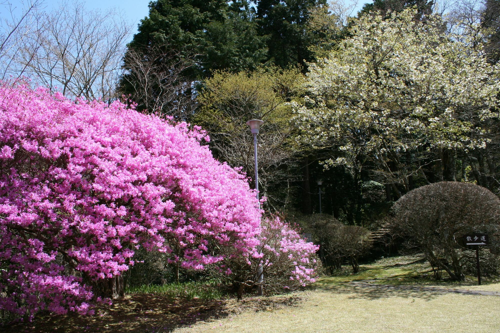 Hotel Senkyoro Hakone Exteriér fotografie